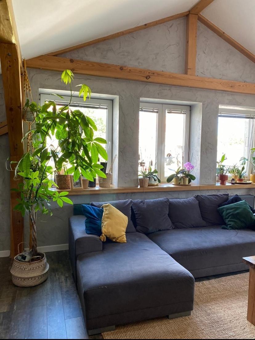 Zeromskiego Apartament Przemyśl Buitenkant foto